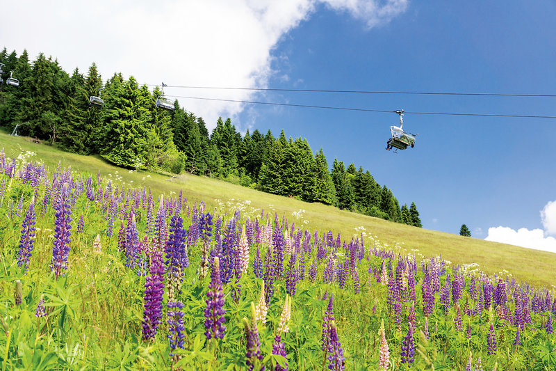 Rathaushotels Oberwiesenthal - Nebenhaus in Oberwiesenthal, Dresden (DE) Landschaft
