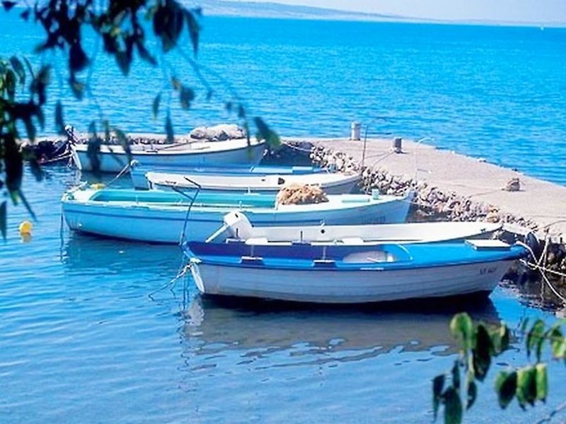 Apartments Bucic in Starigrad-Paklenica, Zadar (Kroatien) Außenaufnahme