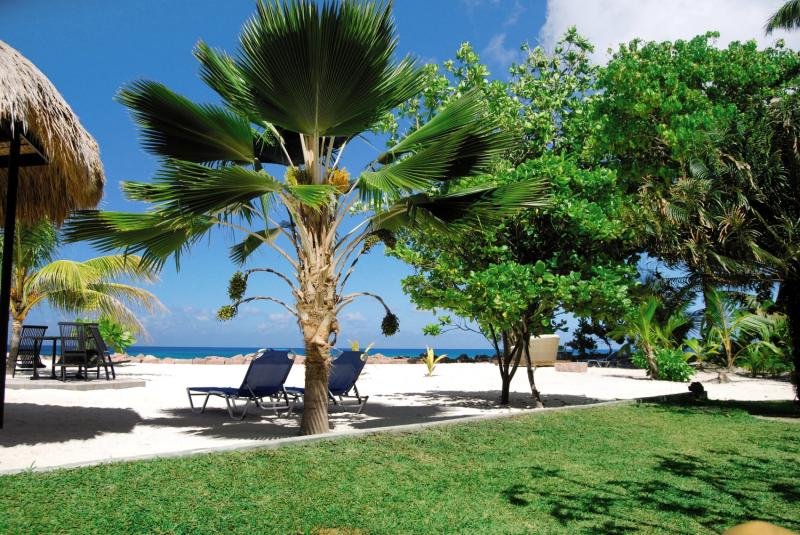 The Islander Hotel in Anse Kerlan, Seychellen Garten
