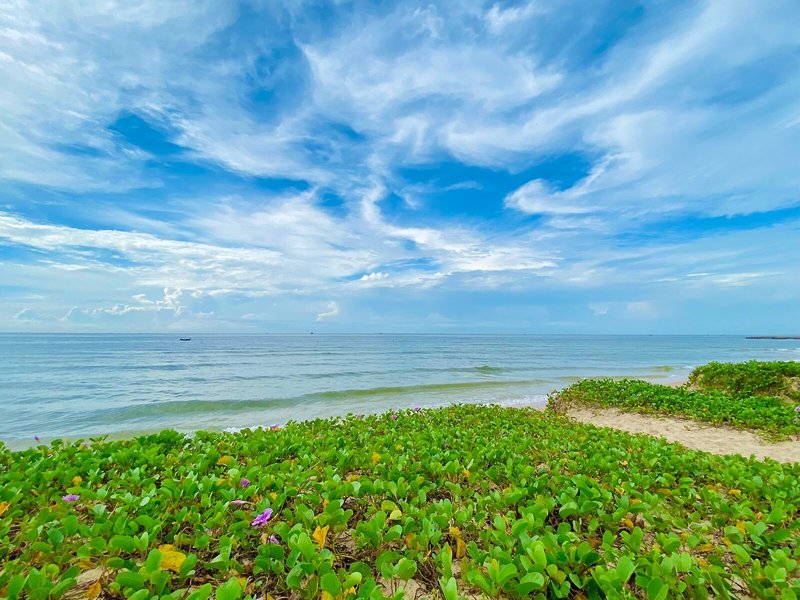 Strand