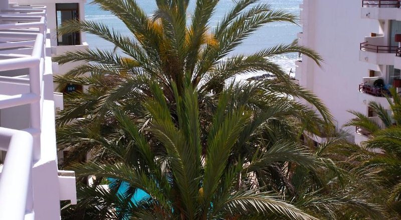 Apartamentos Llobet in Ibiza-Stadt, Ibiza Garten