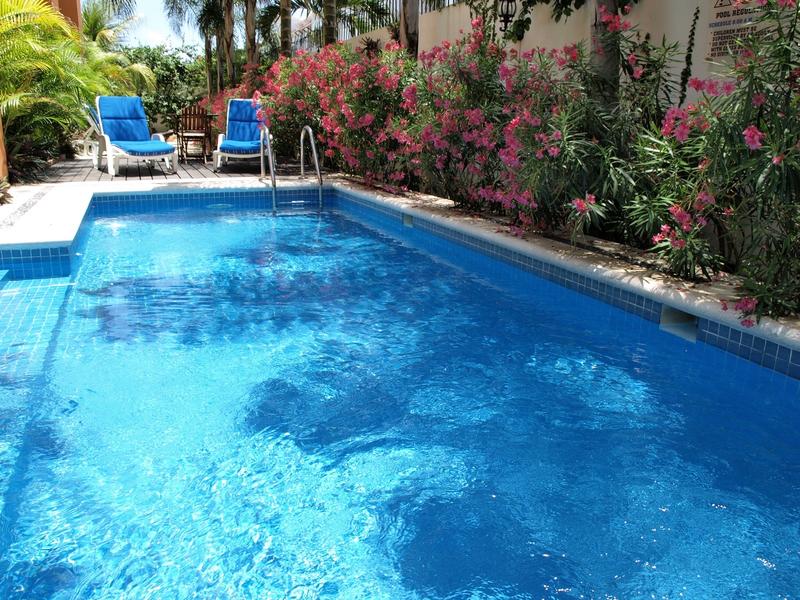 Hotel Las Golondrinas in Playa del Carmen, Cancun Pool