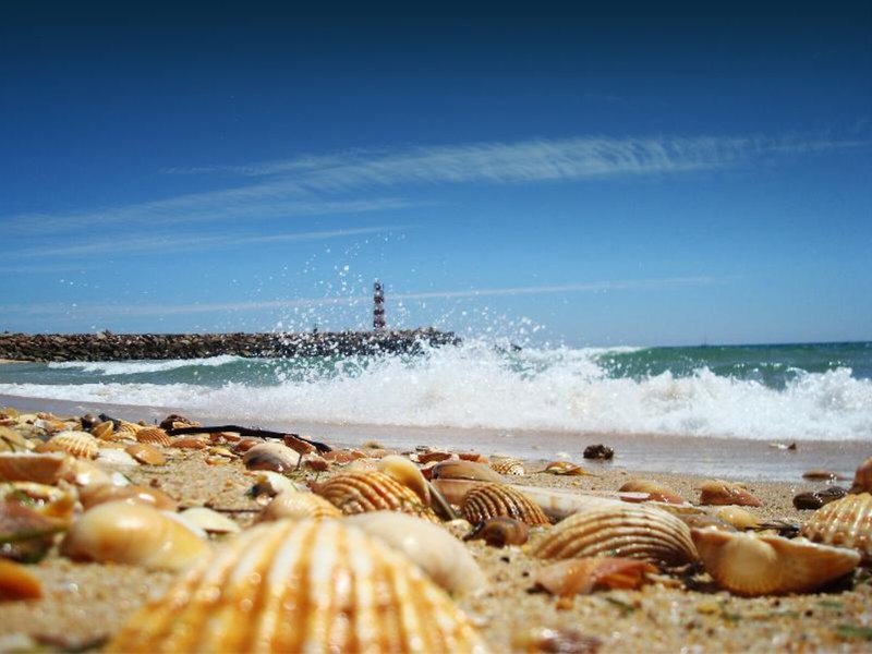 Alameda Apartment by My Choice in Faro, Faro Strand