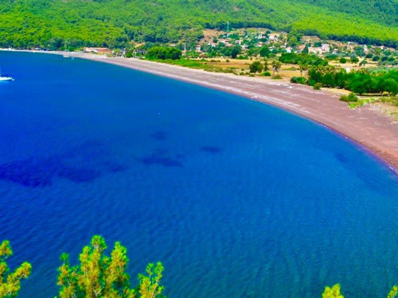 Strand