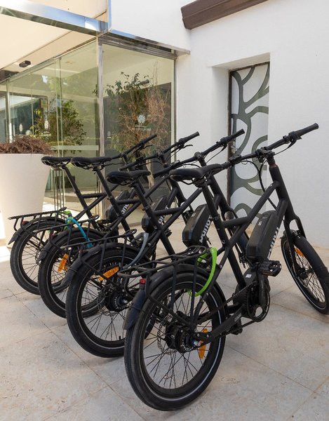 Hotel Encinar de Sotogrande in Sotogrande, Malaga Sport und Freizeit