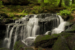 Die familienfreundlichsten Skigebiete in Bayern - altmugl bach bachlauf bayern deutschland farn farne fels felsen fliessend gewässer kaskade muglbach muglmühle natur naturpark natürlich neualbenreuth oberpfalz oberpfälzer wald stein steine unberührt wald wasser wasserfall.