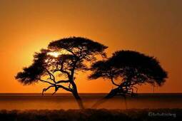 Namibia- Selbstfahrertour für Abenteuerlustige